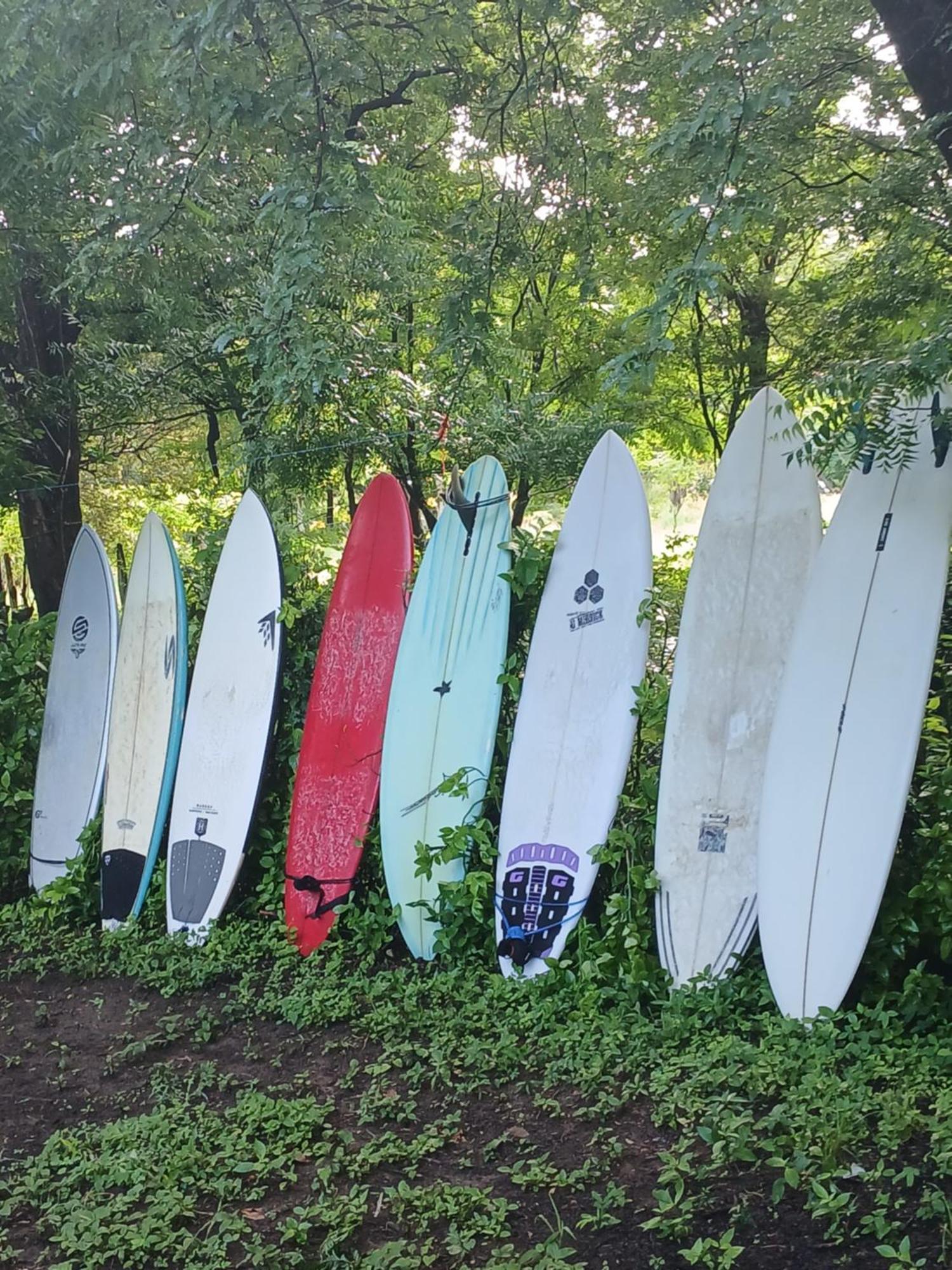 לינה וארוחת בוקר Mola Mola Surf פופויו מראה חיצוני תמונה
